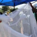 MINSA prevê distribuir mais de um milhão de mosquiteiros na província do Bié