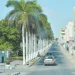 Ministro de Estado destaca avanço no desenvolvimento económico do Namibe