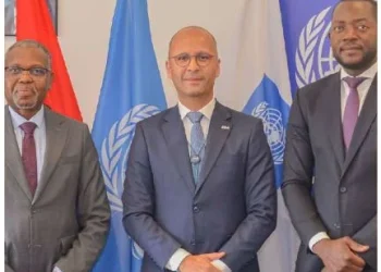 BAI e PNUD juntam-se para acelerar o financiamento sustentável