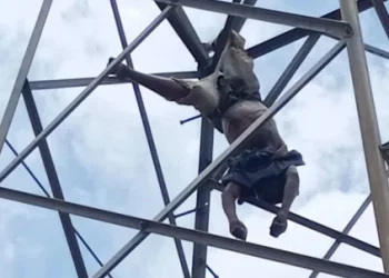 Cidadão morre electrocutado ao tentar vandalizar cabine eléctrica‎