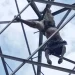 Cidadão morre electrocutado ao tentar vandalizar cabine eléctrica‎
