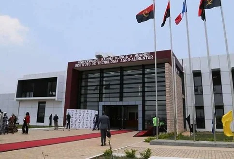 Universidade cria projecto de combate à sinistralidade rodoviária