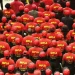 Carta do leitor: MPLA: continuidade e estabilidade