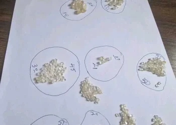 Apreendidas mais de sete mil pedras de diamantes na Lunda-Norte