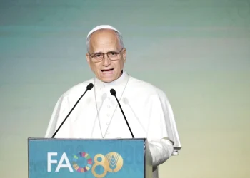 Papa aponta “fracasso colectivo” de haver milhões de pessoas com fome
