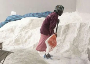 APROSAL admite 250 mil toneladas de sal e lamenta falta de laboratórios