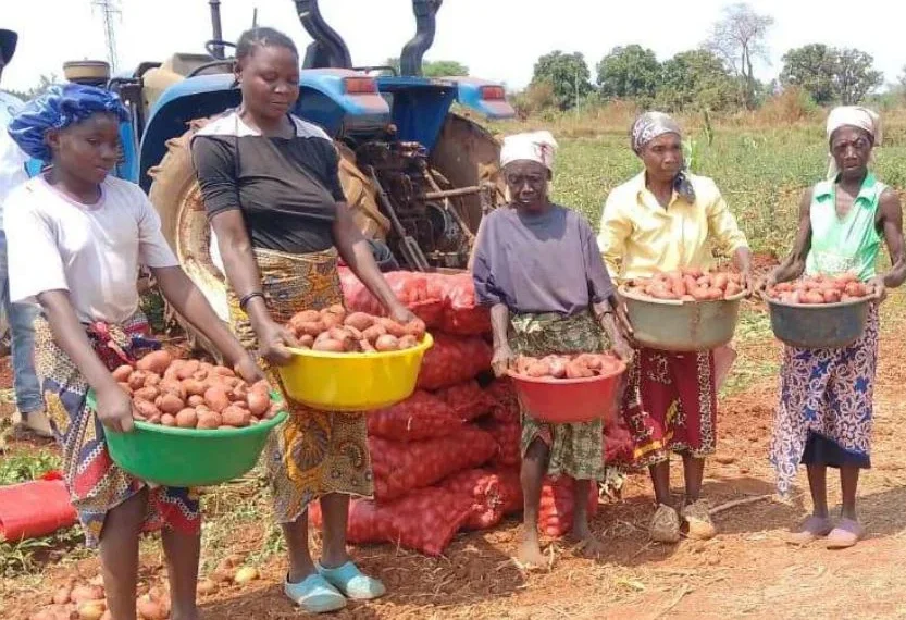 Produtores agrícolas do Capelongo desanimados com o mau estado da EN 280