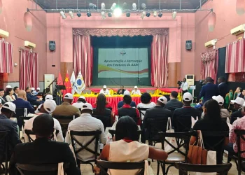 Angola e China criam Associação de Amizade