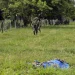 Nove guerrilheiros mortos em bombardeio do Exército colombiano perto da Venezuela