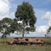 Reconciliação nacional: entre o idealizado e a realidade que se requer