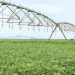 Governador de Benguela acena para “independência económica” de Angola a pensar no fomento à produção agrícola