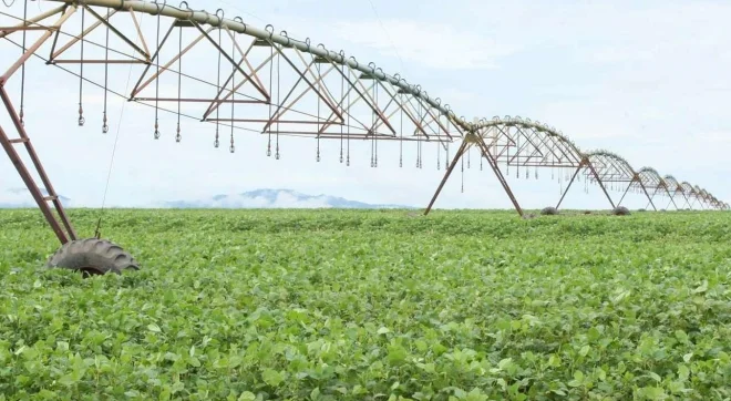 Governador de Benguela acena para “independência económica” de Angola a pensar no fomento à produção agrícola