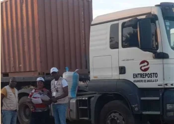 Entreposto Aduaneiro adquire mais de 50 toneladas de milho amarelo na Huíla