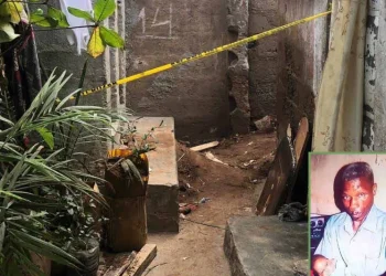 Filho acusado de matar e enterrar o pai para ficar com a casa no cazenga