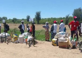 Chibia distribui mais de sete mil toneladas de insumos agrícolas para reforçar agricultura familiar