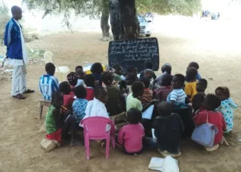 Alunos da localidade de Makokomena deixam de ter aulas por baixo de árvores