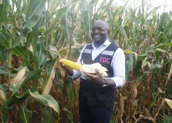 FGC pretende duplicar os 777 projectos agrícolas avaliados em 55 mil milhões de kwanzas para a província de Malanje em 2026