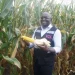 FGC pretende duplicar os 777 projectos agrícolas avaliados em 55 mil milhões de kwanzas para a província de Malanje em 2026