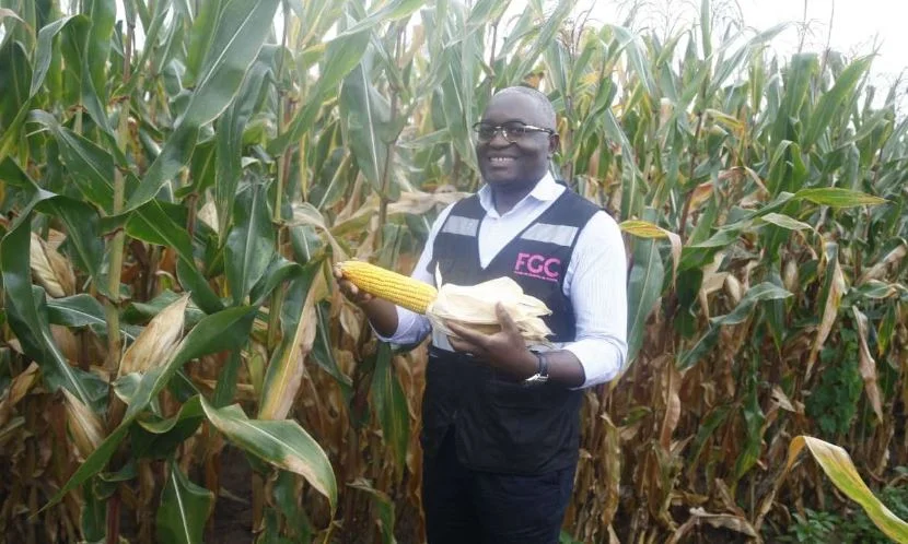 FGC pretende duplicar os 777 projectos agrícolas avaliados em 55 mil milhões de kwanzas para a província de Malanje em 2026