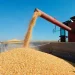 Angola gasta mais de 112 milhões de dólares de Janeiro a Novembro com importação de milho