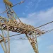 Consequência do vandalismo às linhas de alta tensão: Benguela sem alternativa ao sistema interligado de energia eléctrica