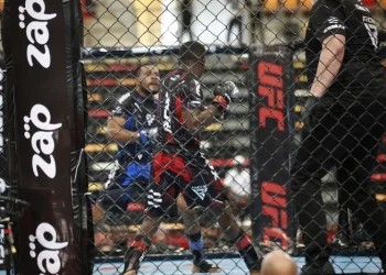 Federação esboça Africano de MMA ao pormenor