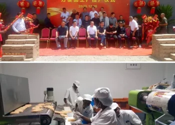 Fábrica de massa instantânea e frita gera mais de 80 empregos directos em Luanda