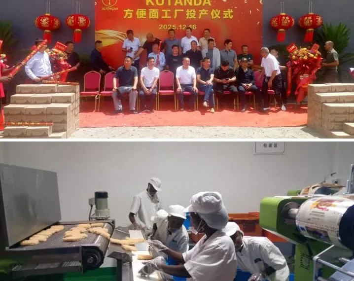 Fábrica de massa instantânea e frita gera mais de 80 empregos directos em Luanda