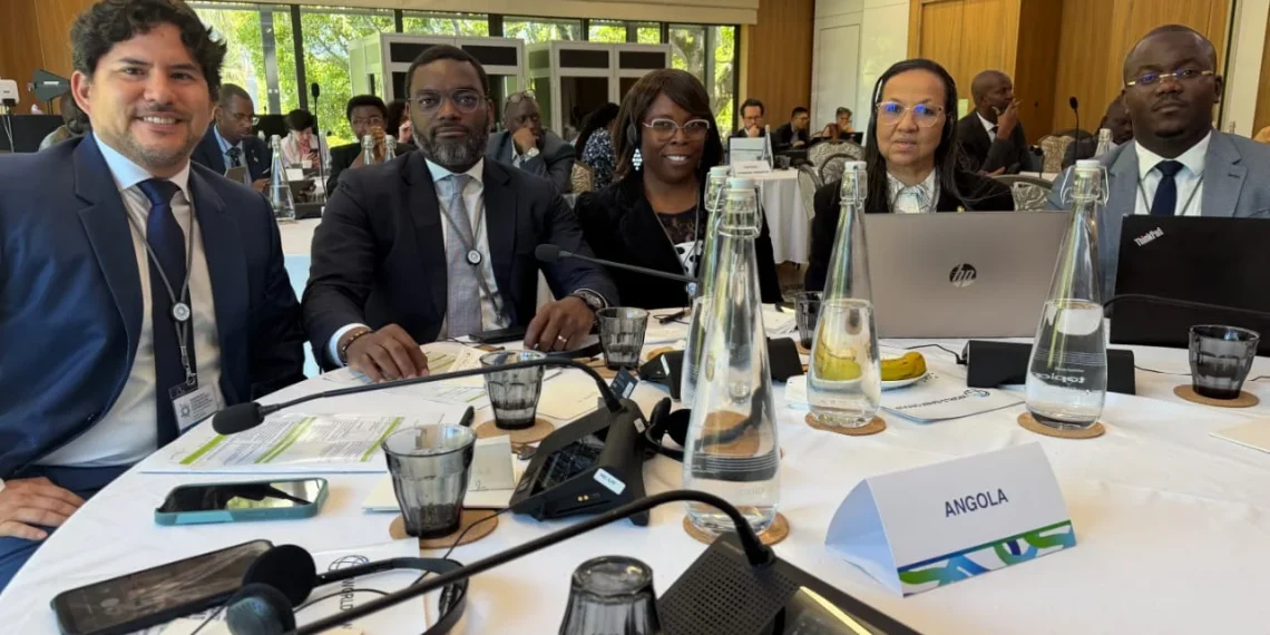 Angola marca presença no workshop sobre financiamento em saúde na África do Sul