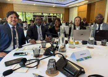 Angola marca presença no workshop sobre financiamento em saúde na África do Sul