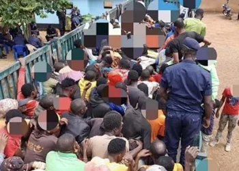 Repatriados mais de 500 imigrantes ilegais da RDC