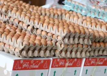 Produtos mais procurados em véspera de Natal com preços altos