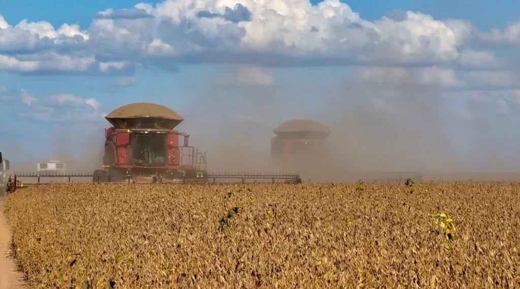 ‎Tando-Zinze regista aumento de 10 mil toneladas na produção agrícola em 2025
