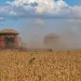 ‎Tando-Zinze regista aumento de 10 mil toneladas na produção agrícola em 2025