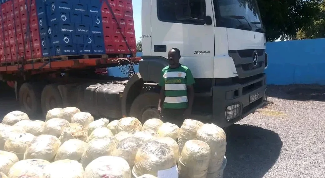 SIC apreende mais de 60 sacos de liamba na Lunda-Norte‎