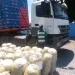 SIC apreende mais de 60 sacos de liamba na Lunda-Norte