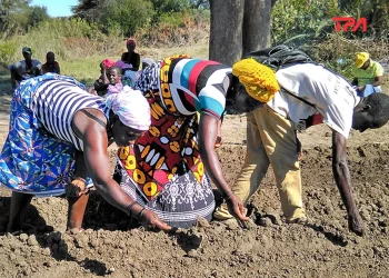 Humpata cadastra mais de 60 mil hectares de terras aráveis