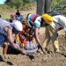 Humpata cadastra mais de 60 mil hectares de terras aráveis