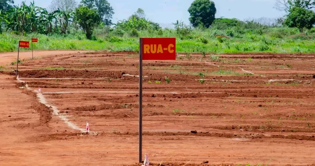 Governo do Cuanza-Norte entrega mais de 100 lotes para auto-construção dirigida