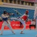 Jiu-jitsu e taekwondo ganham sala de lutas no Dia Nacional do Desporto
