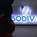 Responsável sugere apoio da banca na emissão de títulos de dívida para projectos ambientais
