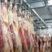 Huíla atinge mais de 1 milhão de kg de carne bovina