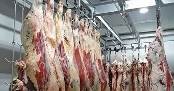 Huíla atinge mais de 1 milhão de kg de carne bovina