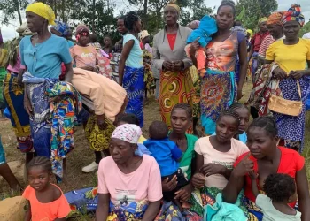 Gabinete da Acção Social no Namibe controla mais de 30 mil famílias vulneráveis