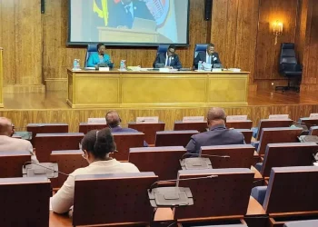 Parlamento aprecia estatuto das Organizações Não Governamentais