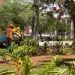 Administração da Ingombota promove hoje campanha de limpeza porta a porta