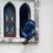 Detido cidadão por furto do “pão da vida” no interior da Igreja Católica