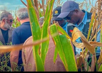 Brasil aplica mais de 200 milhões de dólares para o fomento do agronegócio na Lunda-Norte