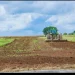 Fazenda Samba Lucala vai produzir feijão para abastecer as Forças Armadas Angolanas