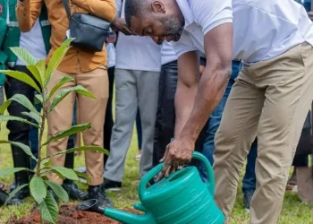 Plantação de trezentas árvores marca as celebrações do Dia do Ambiente na Lunda-Sul